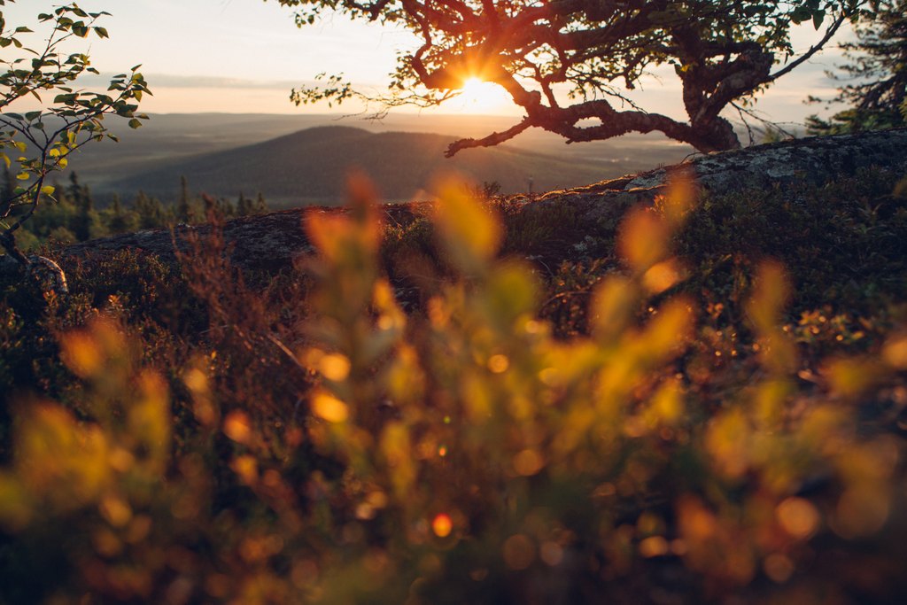 Oulun upeimmat luontokohteet – Katso 6 kauneinta luontoreittiä Oulun seudulla!